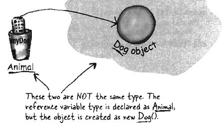 Polymorphism Normally, Dog dog = new Dog(); With polymorphism: Animal dog = new Dog(); The