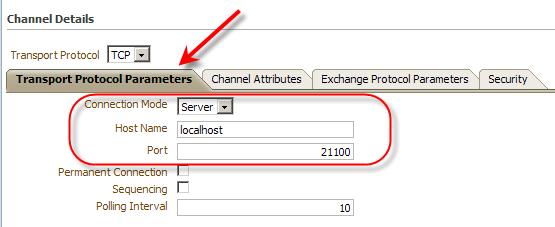 Configure the "Transport Protocol Parameters" as "Connection Mode": server, "Host