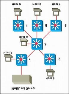 A. The multicast server is the rendezvous point of the multicast tree. B. Switches 1, 2, 3, and 6 will participate in the multicast tree once pruning has taken place. C.