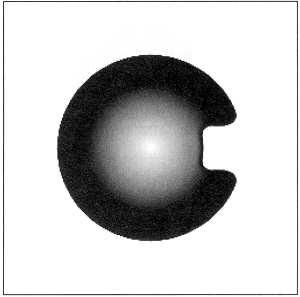 Curvature Registration Example 2: Curvature registration of disk to C [Mod04]: (a) Fluid