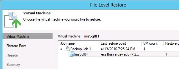 Select Guest Files to perform item-level recovery of folders or files from a VM image.