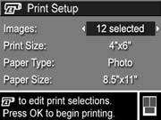 4. When the camera is connected to the printer, a Print Setup menu displays on the camera.