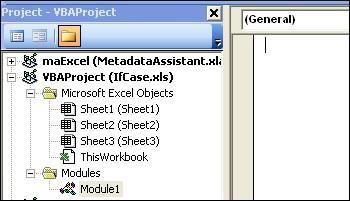 Right click on the Microsoft Excel Objects folder under VBAProject (IfCase.xls). 5.