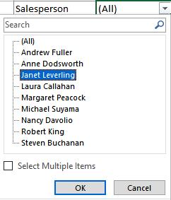 10) On the worksheet, click the Salesperson dropdown and select Janet