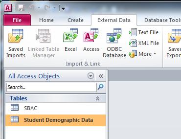 Give the file an intuitive name like Student Demographic Data and Click