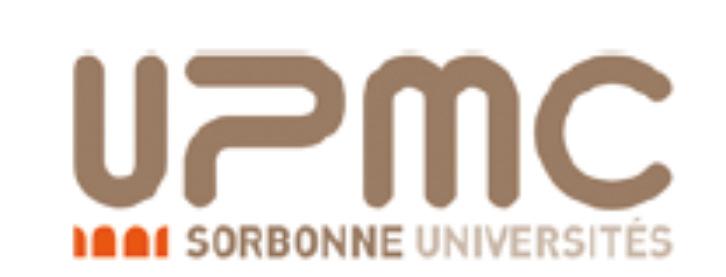 TELECOMMUNICATIONS NETWORKS University Pierre and Marie