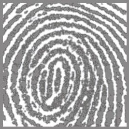 Fingerprint Core: Center of finger swirl patterns placed in sensor area.