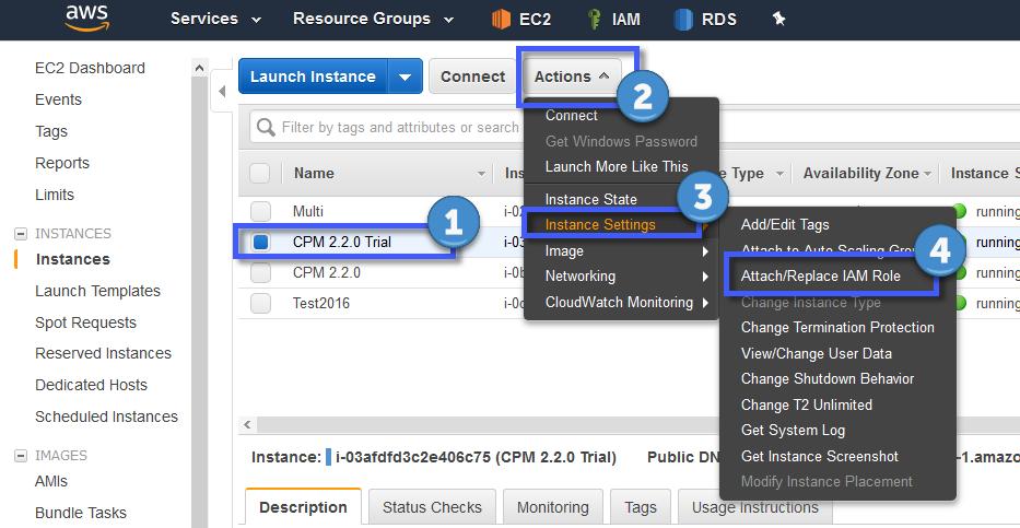 The resulting role can be assigned to the CPM trial instance by selecting
