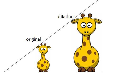 A dilation is a used to create an image that is larger or smaller than the original.