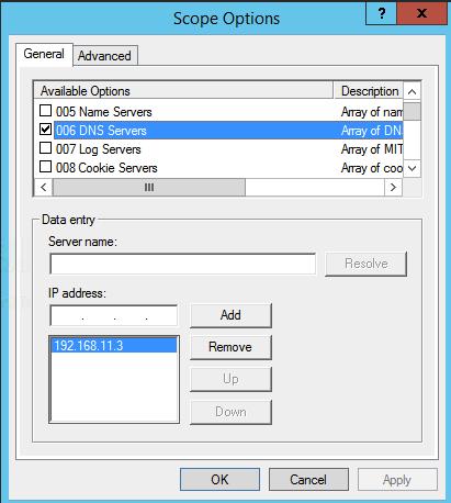 7. In the Scope Options dialog box, select the DNS option and enter the IP address that you selected for the DHCP/DNS. 8.