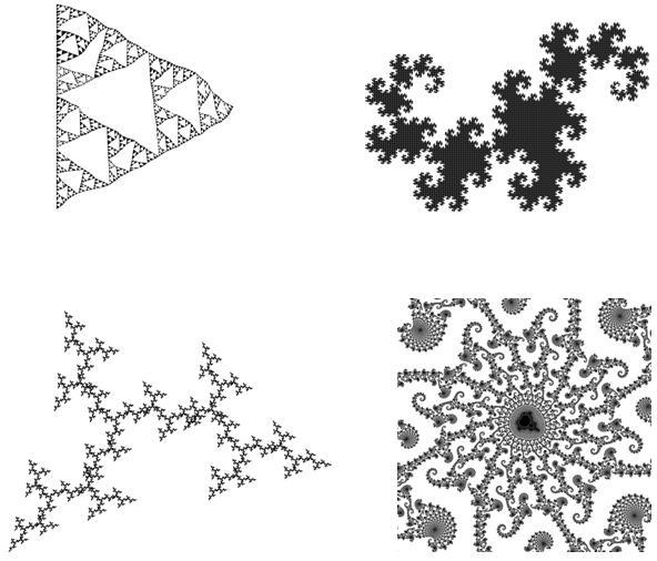 The shapes in the image above are fractals. They don t look much like standard Euclidean geometrical objects.