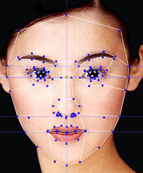 This section defines the face mesh employed in our caricature generation system. The characteristics of the different types of constituent nodes are elucidated.