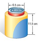 What should the diameter of the cylinders be? 8. A can 12 centimeters tall fits into a rubberized cylindrical holder that is 11.