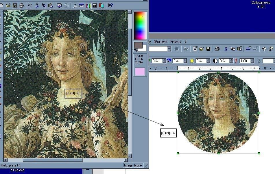 Inserting images from a graphics program You can use many different graphics programs to edit a graphic file.