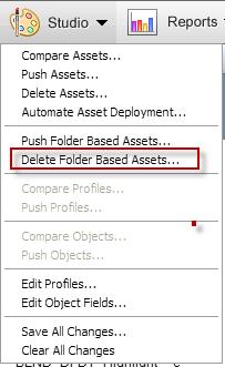 Delete Folder Based Assets Snapshot users have the ability to delete selected folder based assets directly in the tool.