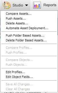 Folder Based Assets This option allows users to push/deploy Folder Based Assets Delete Folder Based Assets This option allows users to delete Folder Based Assets Edit Profiles This option allows