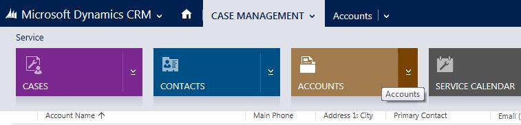 4.1 Create an Account From the Case Management work area select