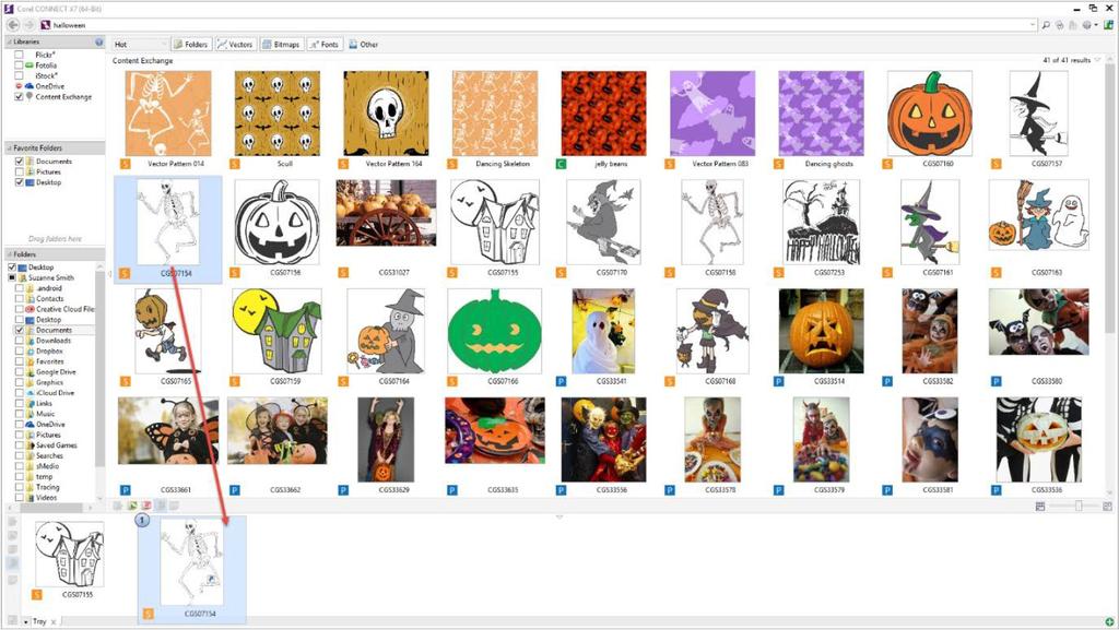 In Corel CONNECT we are now going to look for spooky stuff! Start by typing the word Halloween in the search box at the top of the window. Then click on the Search icon.