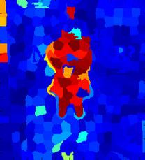 The superpixels colored with red indicates strong likelihood of belonging to the target and those colored with dark blue indicate strong likelihood of