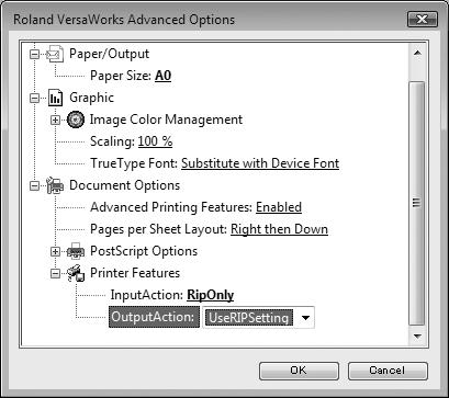 Printing from a Program Make the required settings for printing. Make the setting for the media size. Make the setting for the processing method for jobs created on the RIP server.