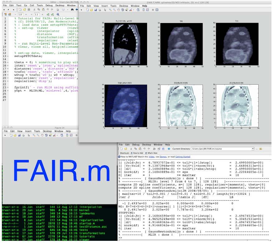FAIR: Flexible Algorithms for Image Registration Framework for image registration in Matlab Different transformations, data terms,