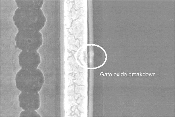 From the SEM images, shown in Fig. 6, it is found that the major failure mechanisms of the gate grounded and the floating gate devices are quite different.