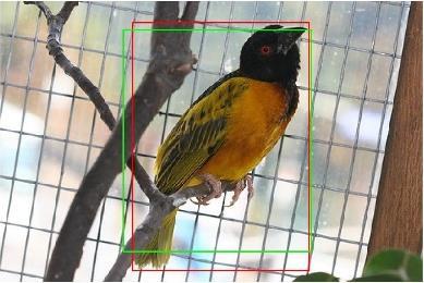 This validates that incorporating semantic segmentation features can increase the localization sensitivity of the detection network and precise bounding boxes for the detections can be obtained by