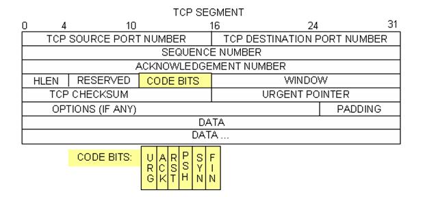 The sequence of [SYN], [SYN, ACK], and [ACK] illustrates the three-way handshake. TCP is routinely used during a session to control datagram delivery, verify datagram arrival, and manage window size.