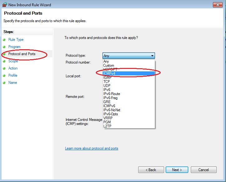 In the left pane, click the Protocol and Ports option and using the Protocol type drop-down menu,