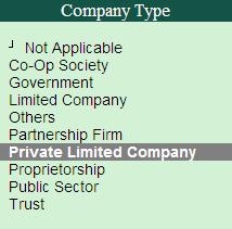 Figure 6. Value for Company Type in Audit Programme Screen Industry Type: Enter/Type the type/nature of the Client. For Example, Trading, Manufacturing, Financial Institution, etc.