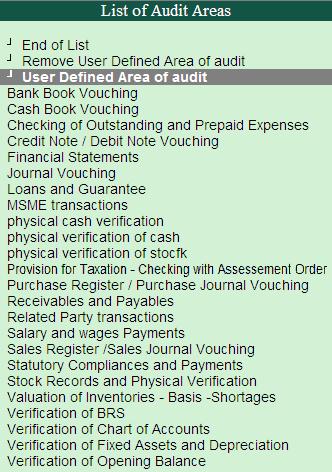 A set of default areas of audit are available for selection.