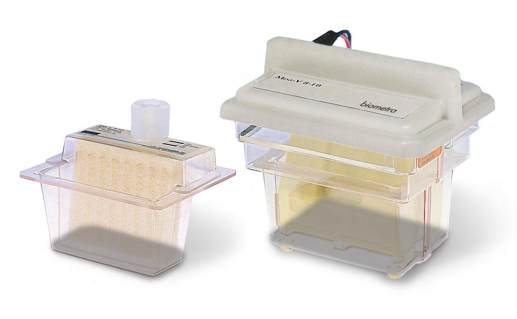 gels simultaneously (option) The Mini-V 8 10 Gel Electrophoresis System is an integrated system for rapid, high-quality separation and blotting in a vertical minigel size format.