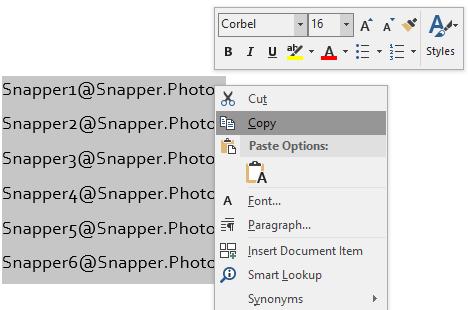 clicking and selecting copy or by using the keyboard key combination of Ctrl c Now go to Snapper PhotoManager and click inside