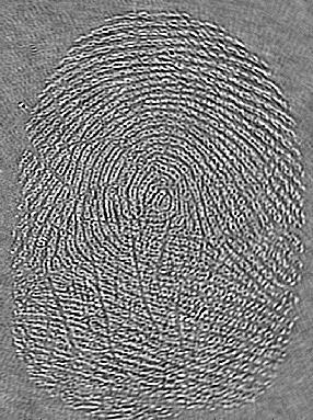 Fingerprints disruptive ultrasonic technology Under 20,000 µm of