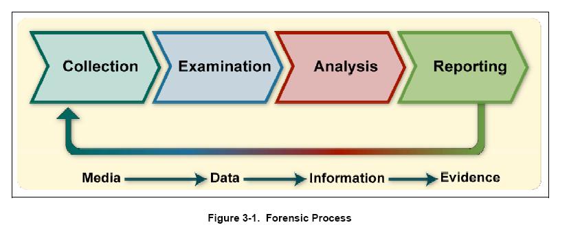 Analysis Reporting Examination may use a combination of automated tools and manual processes.