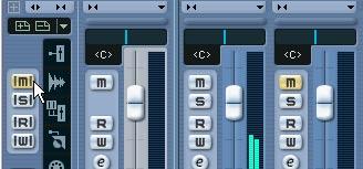To unmute a channel you click its M button again. You can also unmute all muted channels in one go: 3. Click the lit M button in the common panel the area at the left side of the Mixer window.