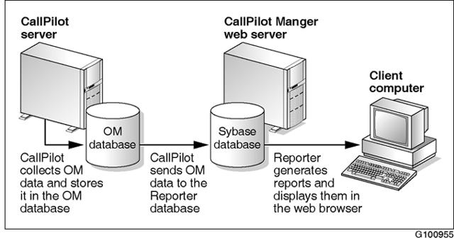 Enabling data collection 25 Exiting Reporter and removing your profile Step Action 1 On the CallPilot Reporter page, click Logout & Erase Result: A confirmation message asks if you are sure you want