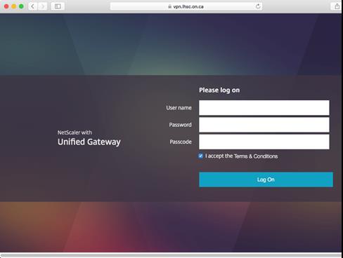 Install NetScaler Gateway plug-in To install NetScaler Gateway plug-in: 1. Browse to https://vpn.lhsc.on.ca 2.