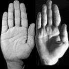 Sharing features of different hand posture classes are used for detecting hand robustly.