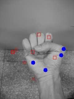 Figure 6 shows the sharing and non-sharing features determined by our algorithm. Figure 7 shows samples of correct hand detection and posture recognition using the proposed algorithms.