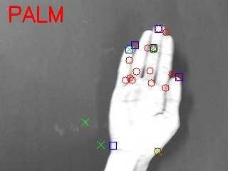 Given the 90% detection rate, hand detection using the Viola-Jones