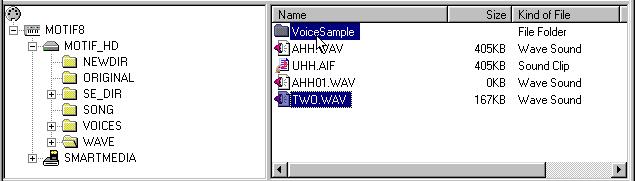 n If using a computer, the Copy icon button or Copy in the File menu can be used to