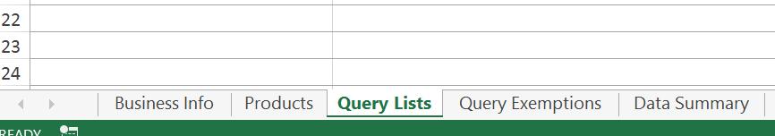 Class A Declaration: If you have selected Class A, two additional tabs will appear: Query Lists and Query Exemptions.