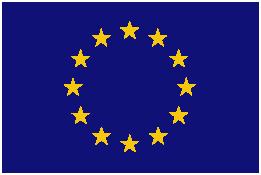 OVERVIEW OF THE EUROPEAN INSTITUTIONAL FRAMEWORK ON STANDARDISATION Maria Marini DG