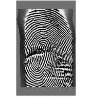 Fig. 5i shows an image of a fingerprint (FVC- 2004 Database 2) size of 328 364 with threshold values of 0.19 and x = 0.3, y = 0.8. Fig.