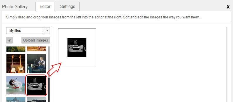 The Editor section provides control over which images are displayed in the Gallery. When first added it will include a number of default images.