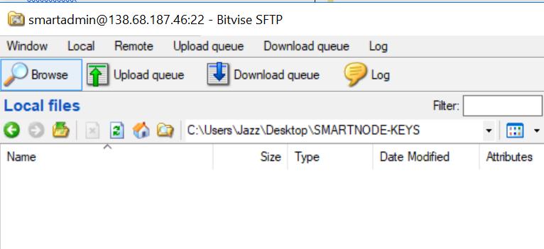 ssh folder select both files and copy both files.