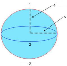 What Is a Datum? While a projection is used in mapping to define the earth on a flat surface, a datum is used to describe the actual shape of the earth in mathematical terms.