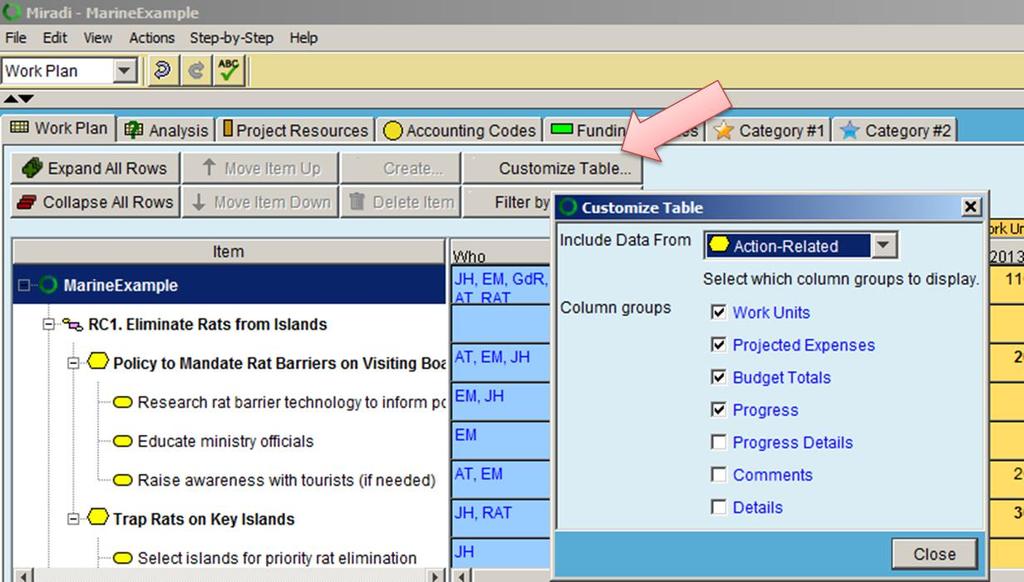 Example Export the Workplan (in Tab or RTF format) Format the Workplan View to show the