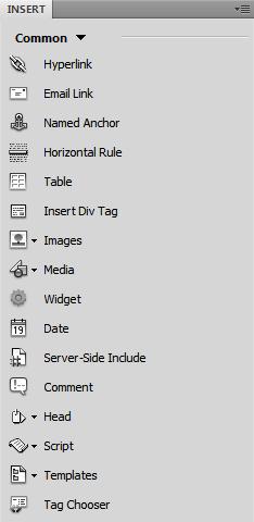 Activity 2.1 guide Adobe Dreamweaver CS5 The Insert panel The Insert panel contains buttons for inserting various types of objects, such as images and tables, into a document.